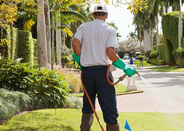 About Fairview KY Pest Control Pros
